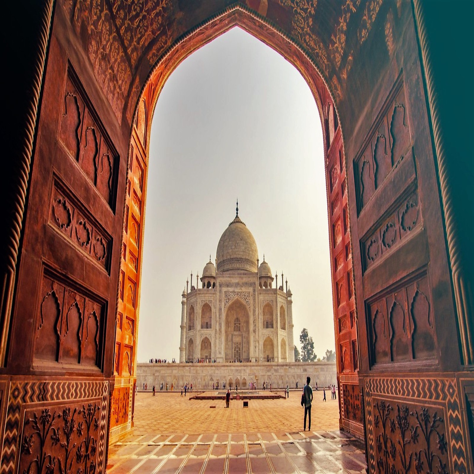 globe india tours and travels